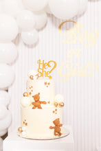 Load image into Gallery viewer, He or She Teddy theme